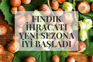 FINDIK İHRACATI YENİ SEZONA İYİ BAŞLADI
